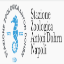 PhD International Positions in Ichthyoplankton Assemblages and Fish Early Life Stages, Italy